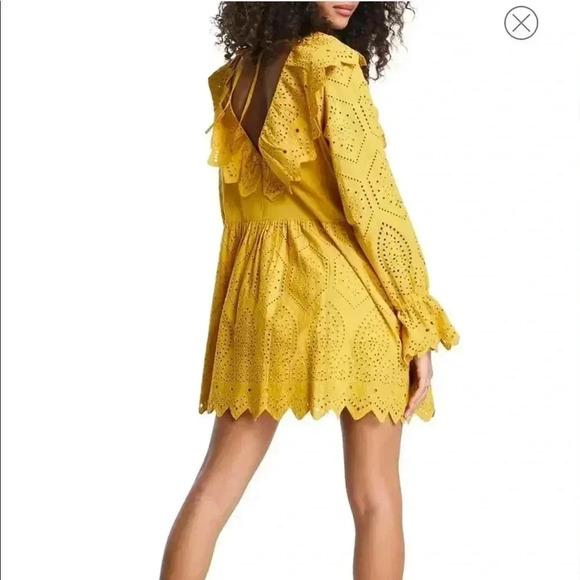 NWT Topshop Broderie Eyelet Ruffle Long Sleeve Minidress Yellow Sz 8 - Picture 2 of 14